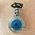 API602 150lb Forged Stainless Steel F316L Flange End Gate Valve